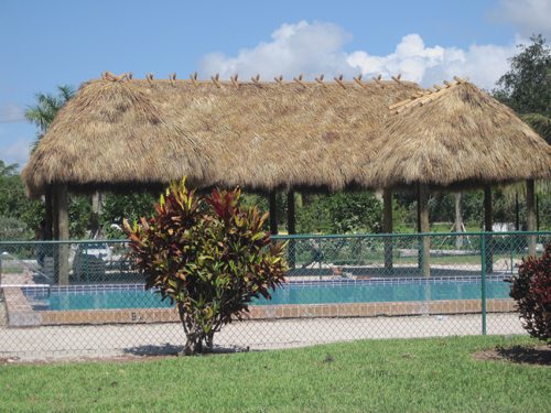 Boca Bend Marina Poolside tiki hut
