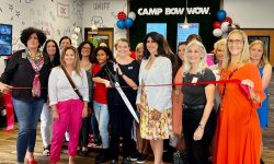 Camp Bow Wow Opens In Boca Raton